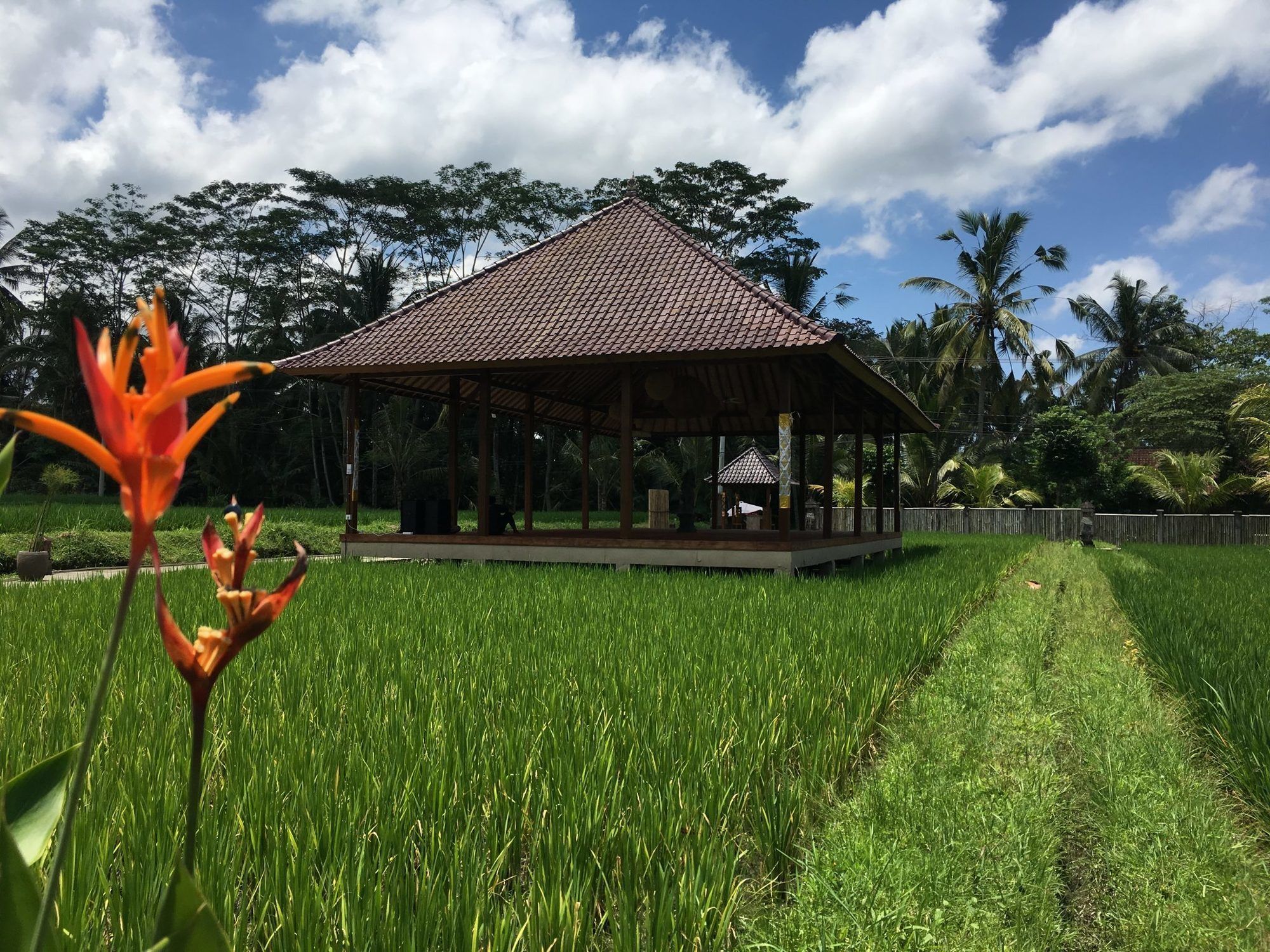 Santosha Villas & Spa Ubud Esterno foto